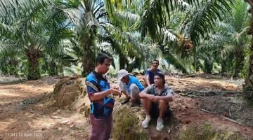 Kasus Pemalsuan Tanda Tangan: Jejak AJB Bermasalah dan Dugaan Penguasaan Lahan Warga Lae Saga, Penyidik Diuji